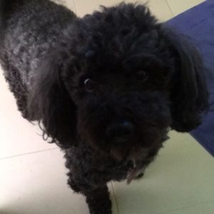 Meet your Posher, Ulrika